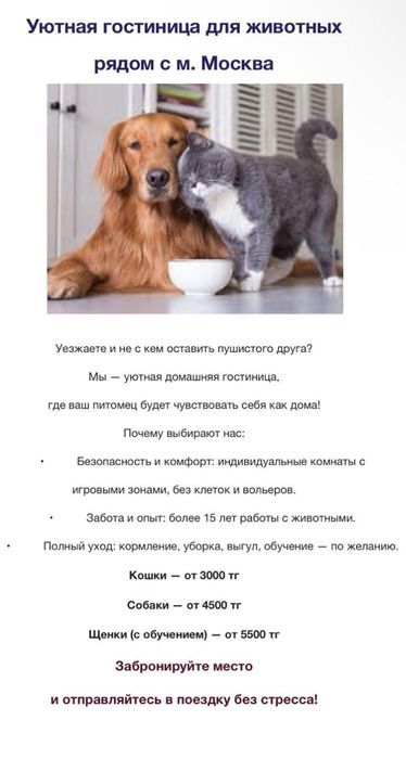 Передержка домашних животных