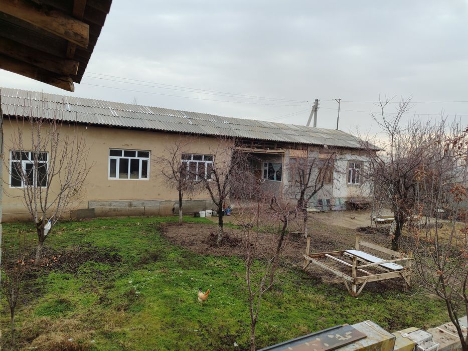 Chinoz tumani Isloxot MFY da xovli sotiladi.Narxi kelishiladi