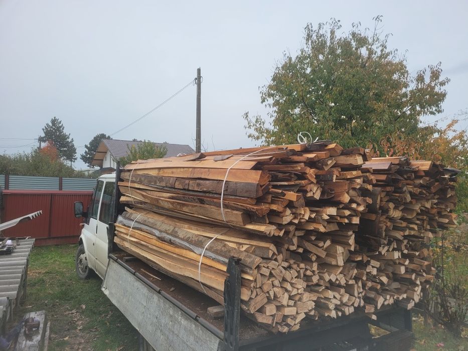 Bonturi de fag uscate