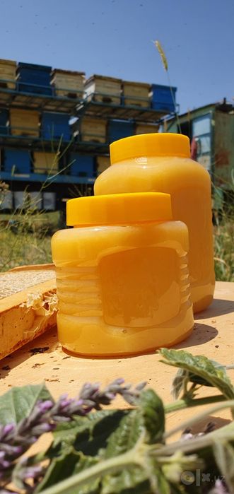 МЁД  натуральный цветочный  от производителей