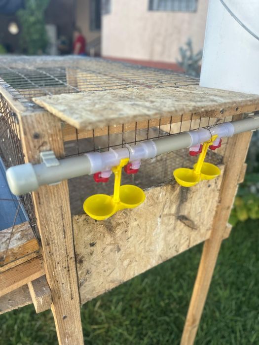 Бөдене Перепёлка