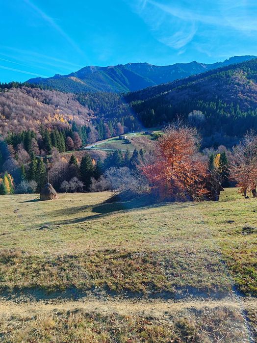 Teren intravilan in Bran - Simon