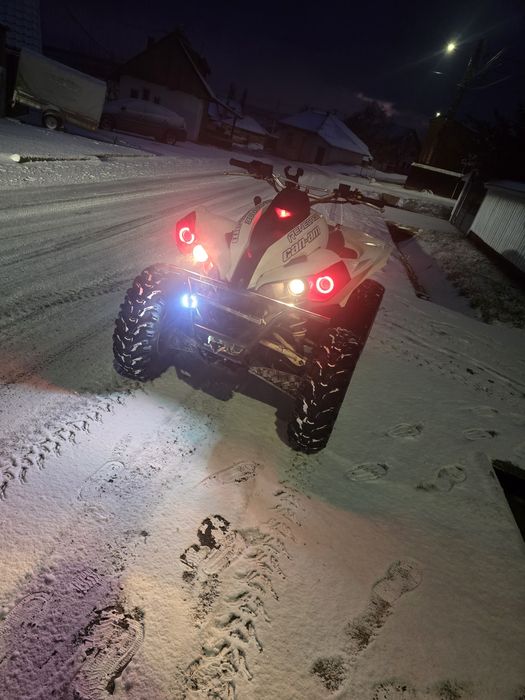 Atv can am renegade