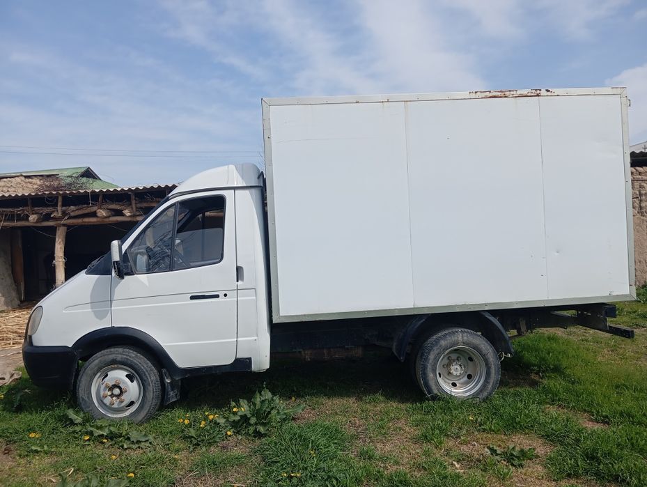 Gazel bortli holati yaxshi