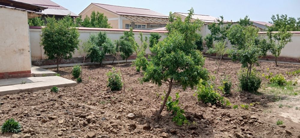 Namunali Katej sotiladi 6 sotix yeri bor  2017 yil qurilgan