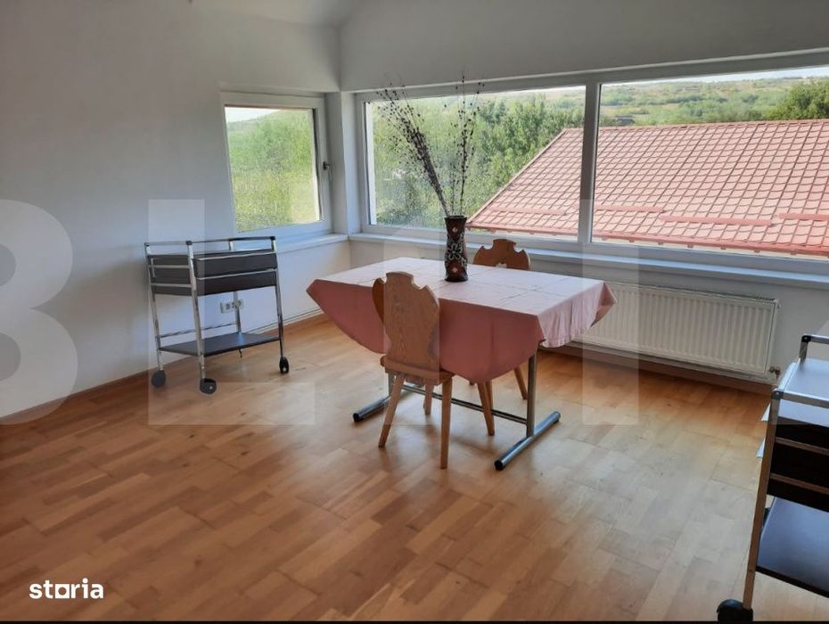 Casa+Spatiu Pentru Afacere/Locuit Iancu Jianu