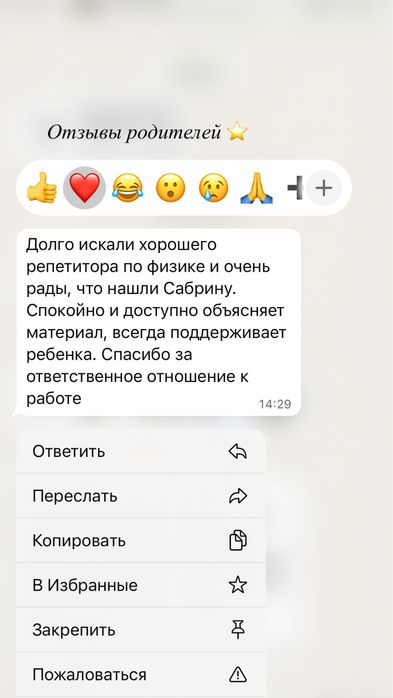 Репетитор физика/математика
