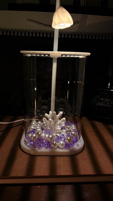 MOON & FISH  Аквариумы + рибки