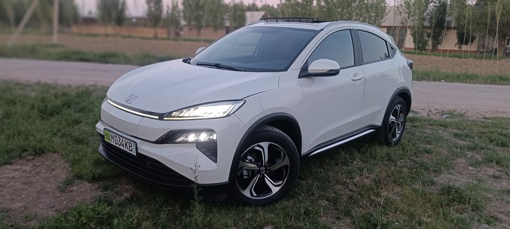 Honda M-NV 100%Elektir