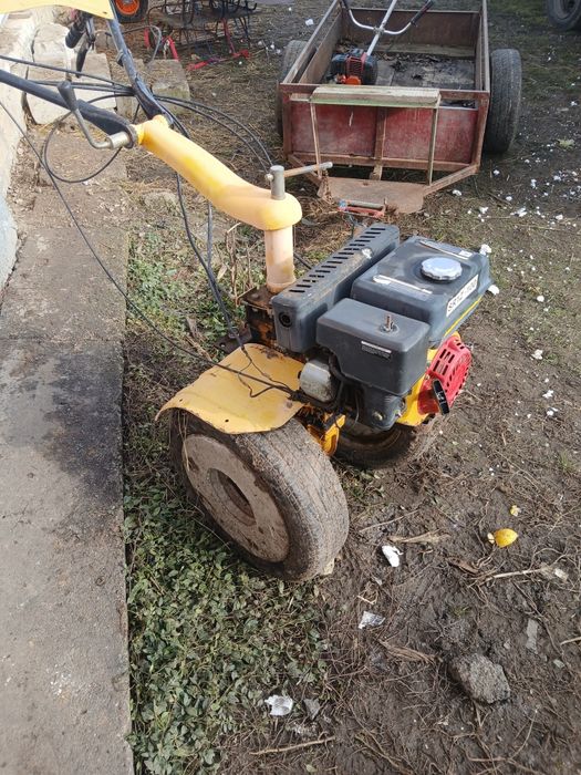 Vând motocultor cu remorca sau schimb cu animale