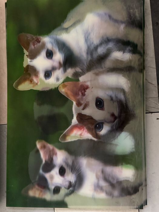 3D  Картинки с разными животнами