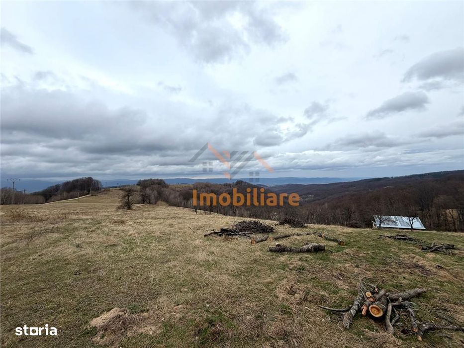 Teren 34.000 Mp | Serani Bihor