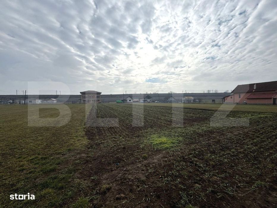 Teren intravilan 1.600 mp | Vintu de Jos