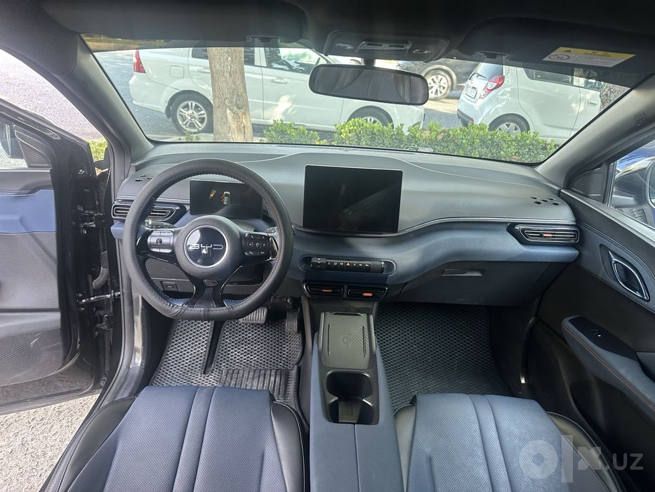 BYD seagul 2024 yil