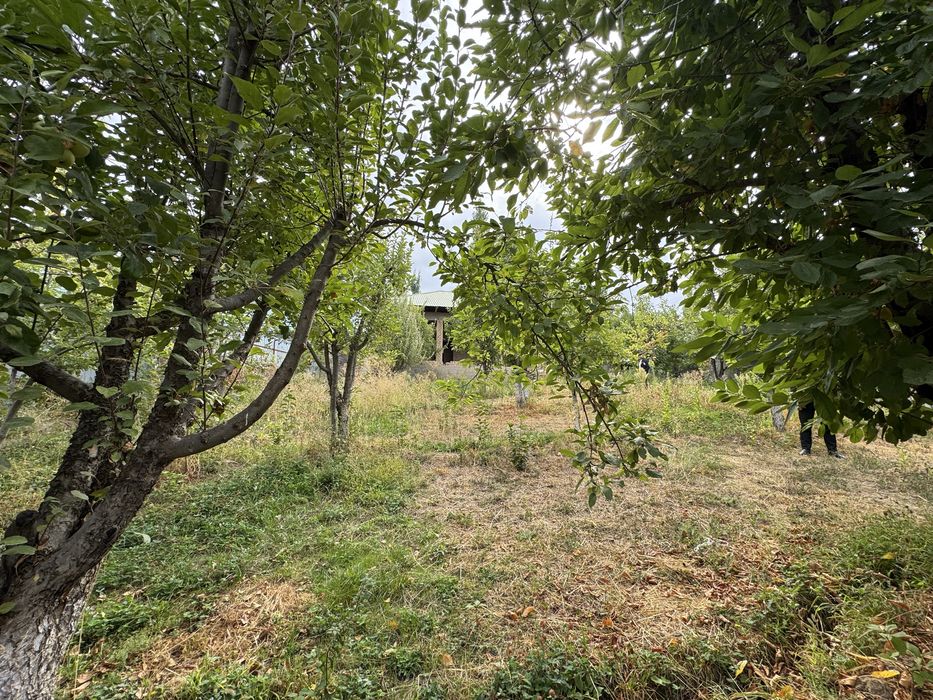 Dacha sotiladi 10 sutix