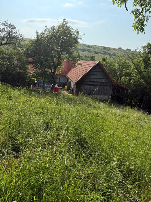 Casă de vacanță Gîrnic, Banatul montan