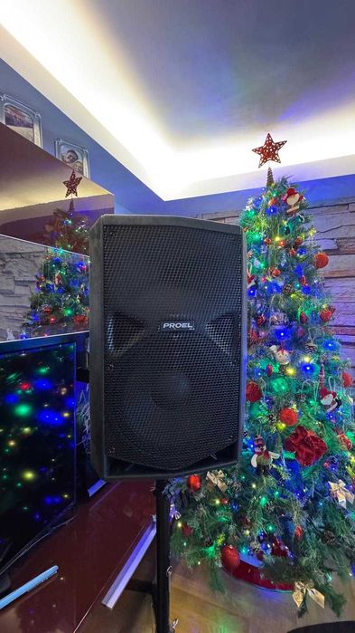 boxe profesionale active proel