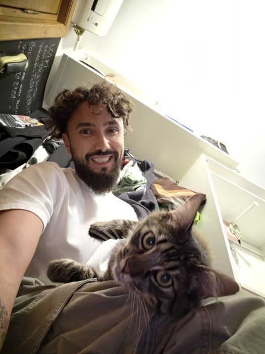 Pet sitter Timisoara