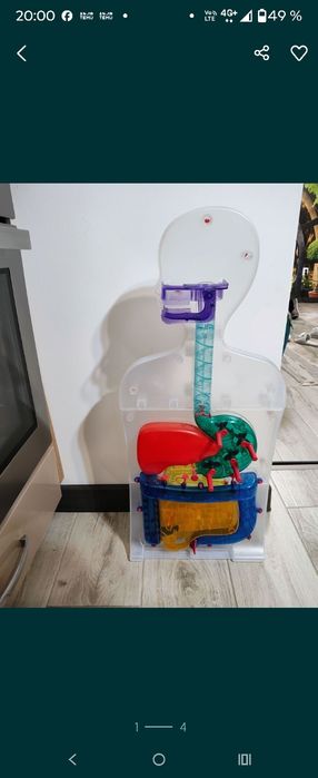 Corpul omenesc sistemul digestiv