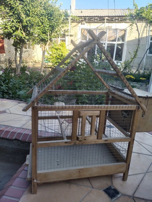 Клетка для птиц, papugaylar katagi