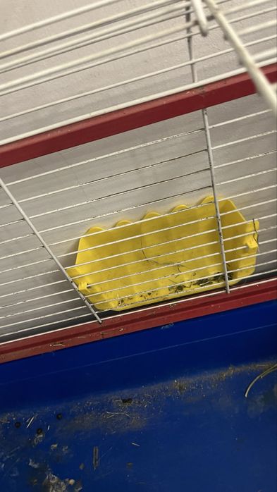 клетка для кролика