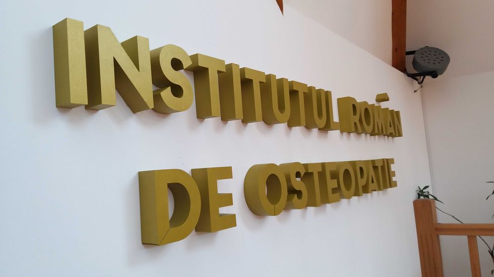 LITERE VOLUMETRICE POLISTIREN PLOIEȘTI 3D firme, logo-uri personalizate premium rapid.
