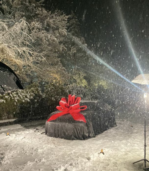 Бант на машину / Подарочный бантик