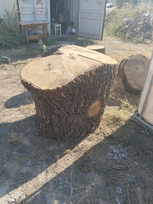 Дрова дуба карагача березы