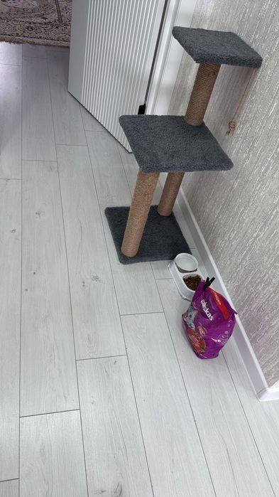 Крошка Ириска 2 год