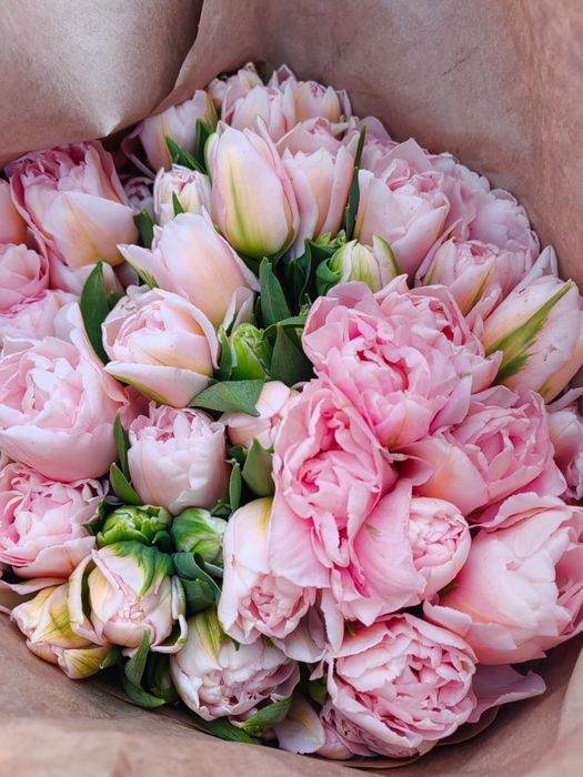 Тюльпан оптом цветы