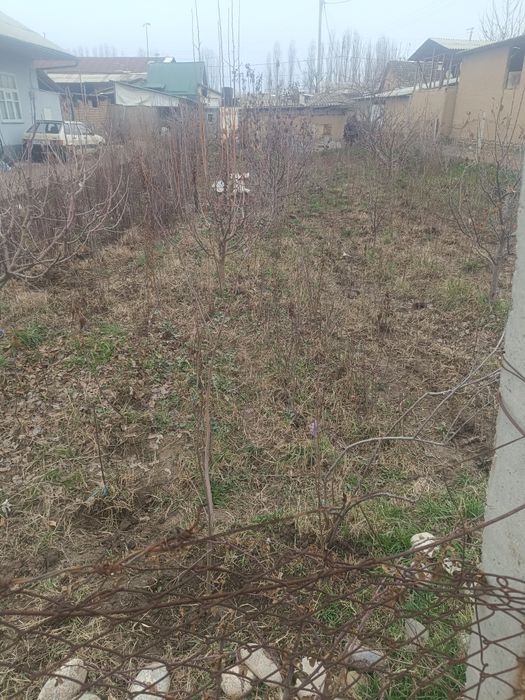 Ko'chat sotaman ishonchli 100 foiz