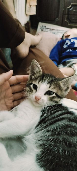 Порно жігіттер анасын ұрып-соқты