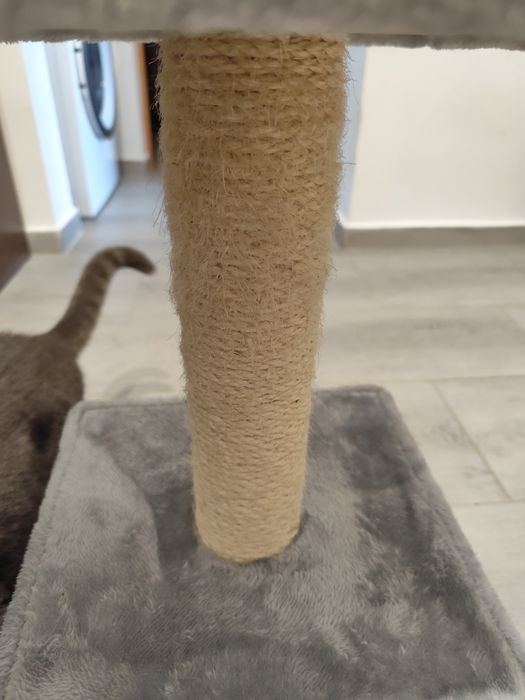 Sisal/ansamblu de joaca pisici