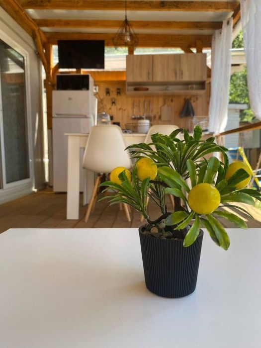 Бунгала Станимака - Арапя