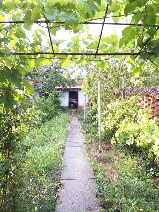 Продава се Къща в с. Рогозен, Област Враца - 100 кв.м за 450 €/кв.м - Снимка #7