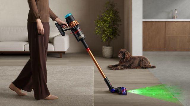 Dyson v16 animal