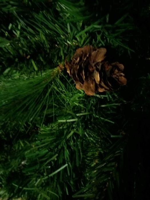 Продам ёлку 15000