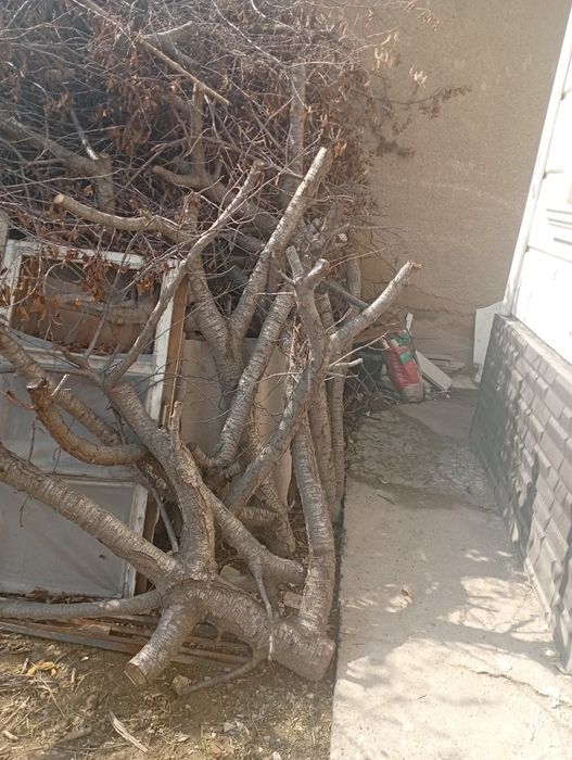 Тегын отын  сыйакысымен