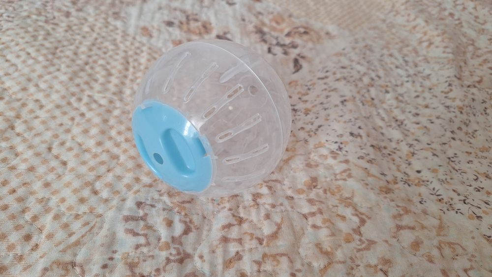 Accesorii hamsteri