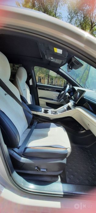 Byd chempion 520