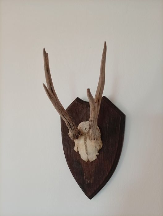 Decorațiune de perete
