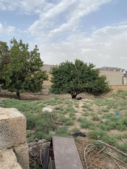 Toshkent viloyati ZangiOta. Tumanida  Tokzor(Kamchatka)mahallada  yer