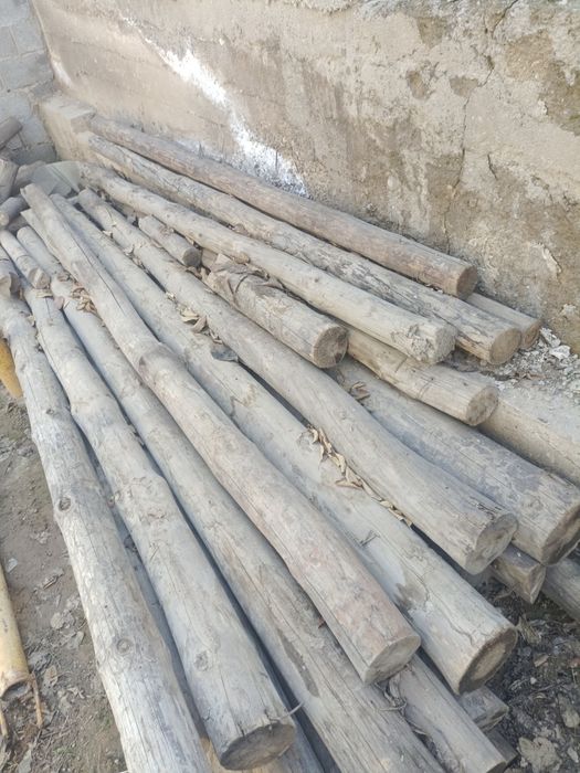 Крубляктар бар қолданылған