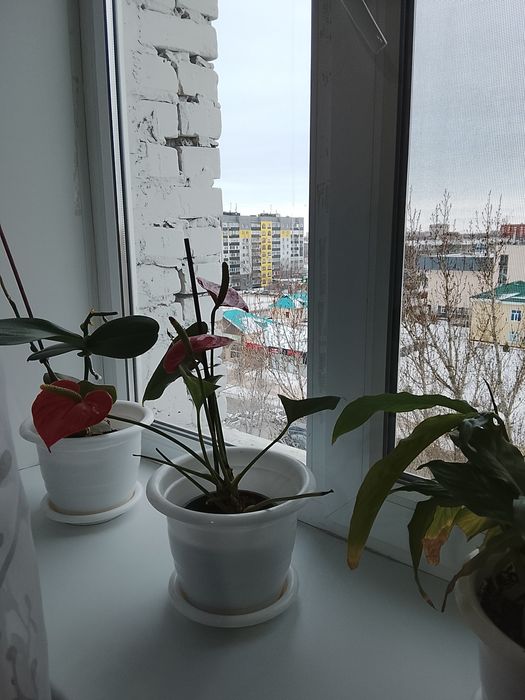 Продается Комната