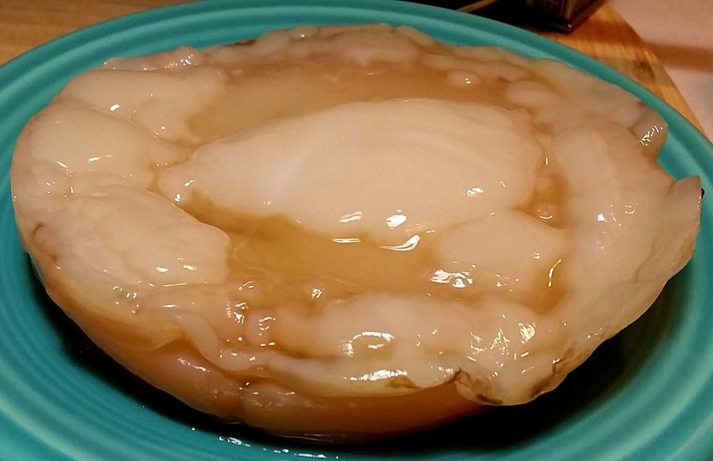 Kombucha - kit starter