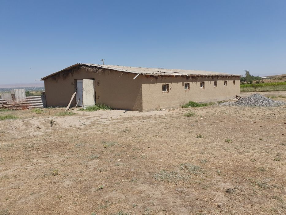 Payariqda tayyor ferma xovli sotiladi 1.5 gektar yoki barter