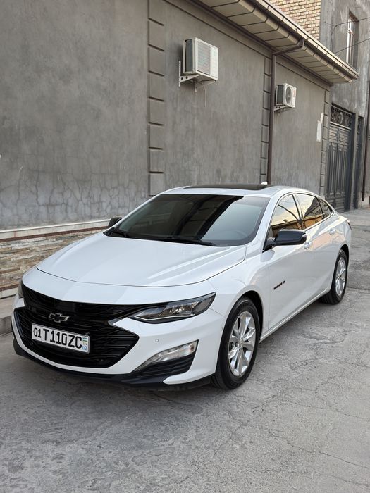 Malibu XL 2023 tozza