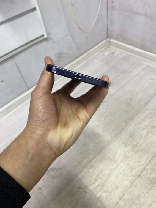 15 про макс 256/81%