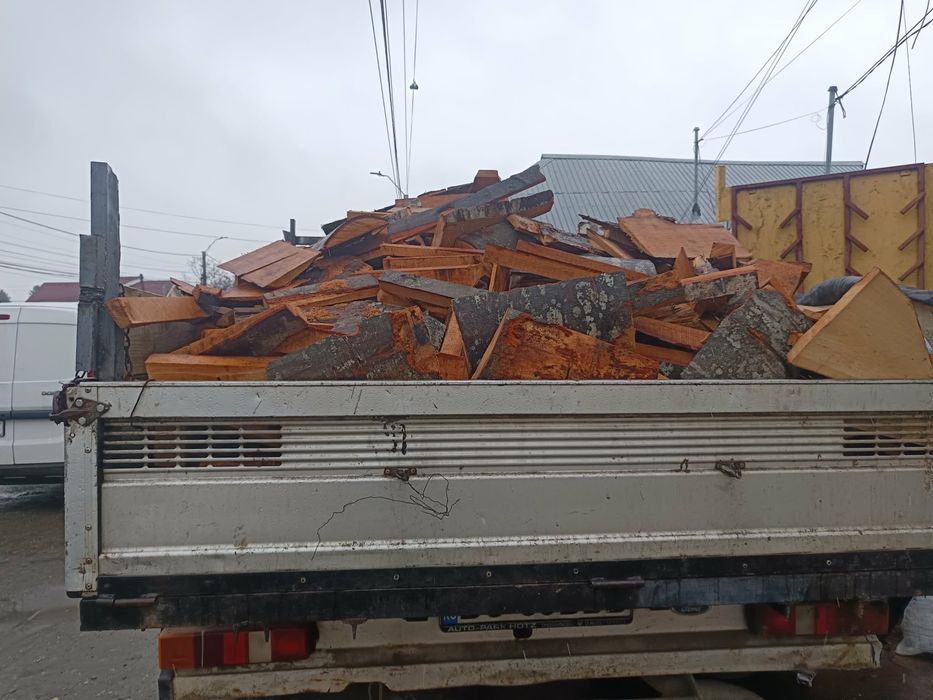 Braguri de fag……