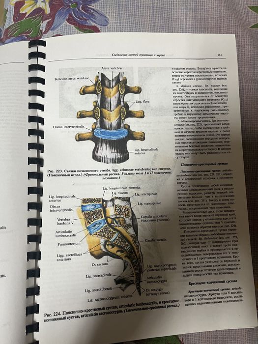 Книга атлас анатомия человека